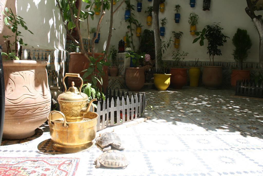 Riad Lalla Fatima Hotel Fez Buitenkant foto